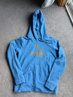 Women's Patagonia Sweatshirt Hoody